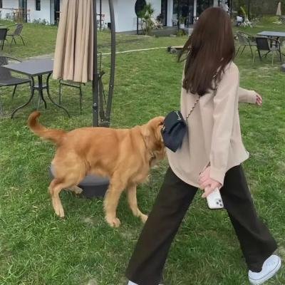毒枭煮妇